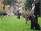 Klub kepek 2014-  0756